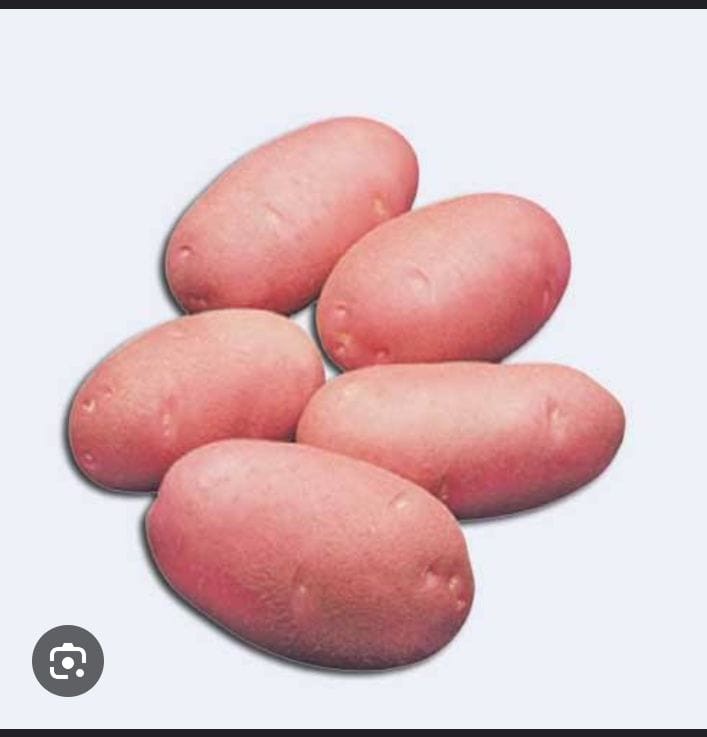 লাল আলু