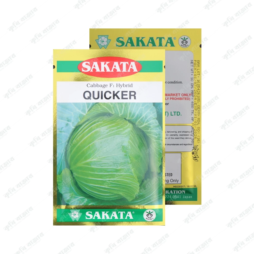 কুইকার - পাতা কপি ( ১০ গ্রাম )- SAKATA Cabbage F1 Hybrid Quicker