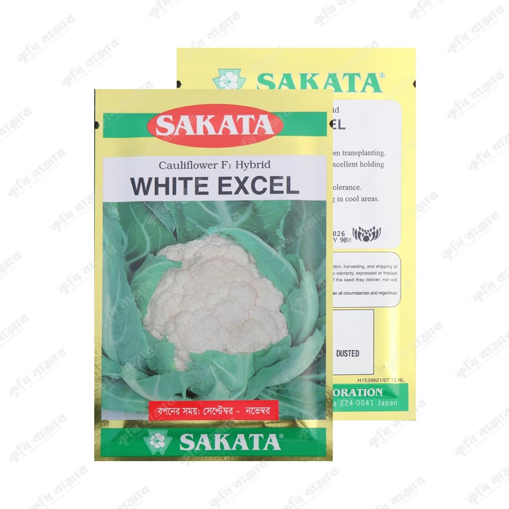 হোয়াইট স্কেল - ফুলকপি ( ১০ গ্রাম )- SAKATA Cauliflower F1 Hybrid White Excel