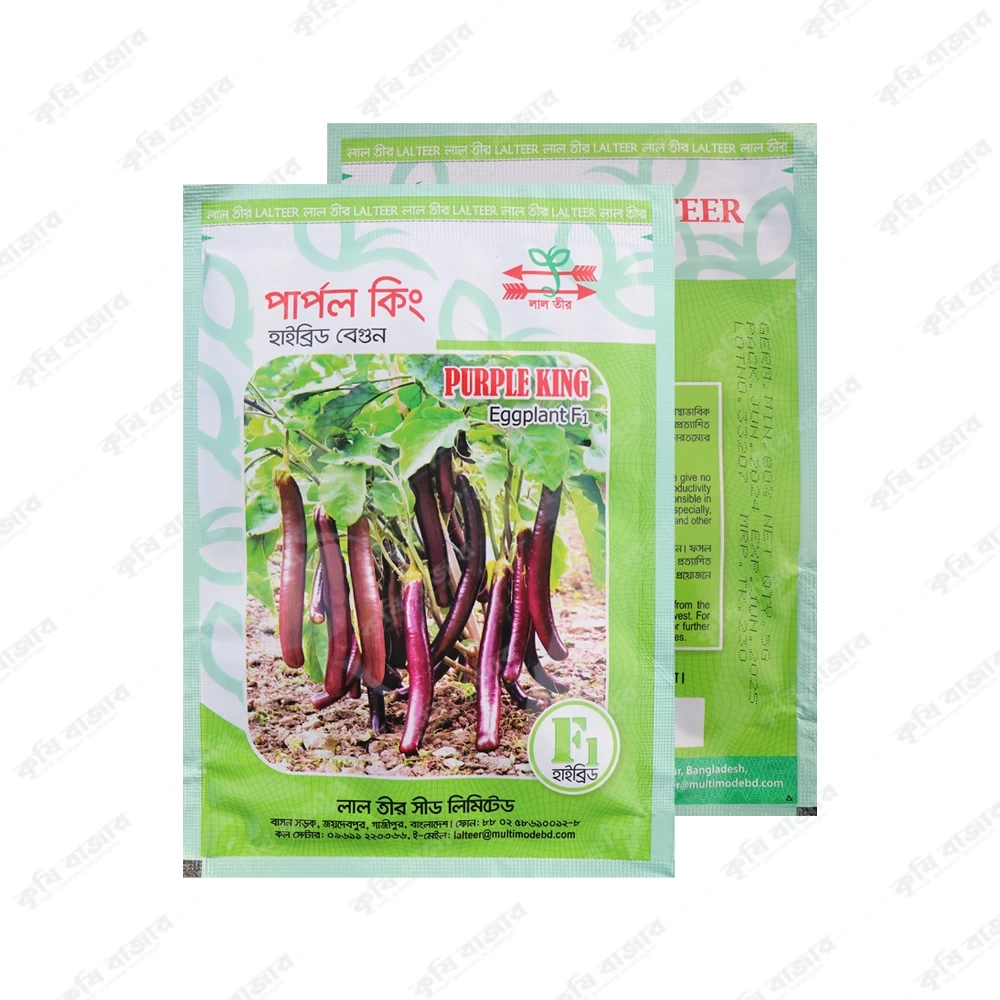 পার্পল কিং - বেগুন ( ৫ গ্রাম )