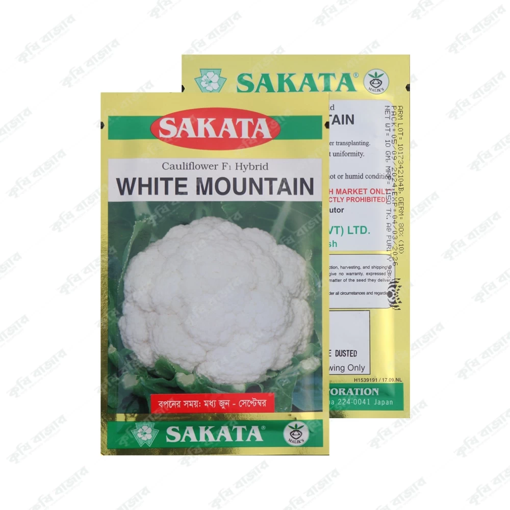 হোয়াইট মাউন্টেন - ফুলকপি ( ১০ গ্রাম )-SAKATA Cauliflower F1 Hybrid White Mountain