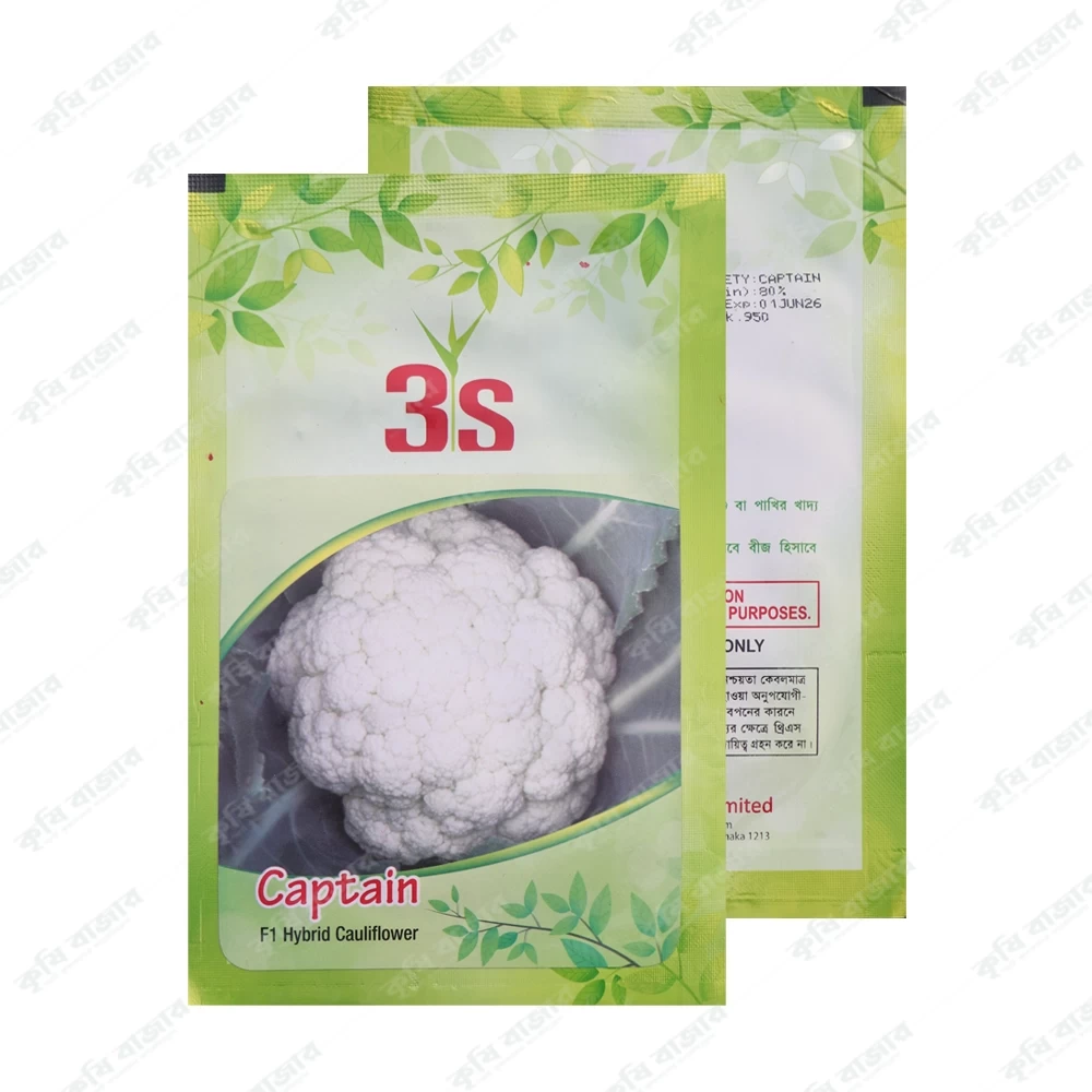 ক্যাপ্টেন - ফুল কপি ( ১০ গ্রাম )- Captain F1 Hybrid Cauliflower