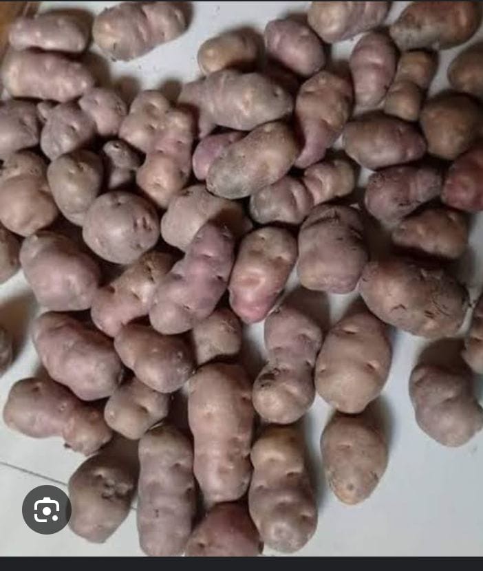 শিল আলু